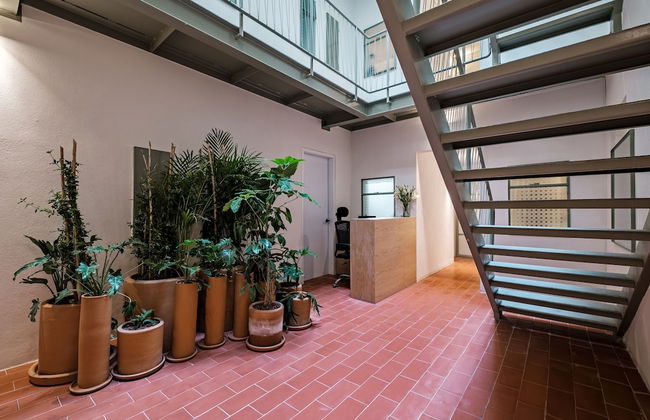 Nido Condesa - Foto 5