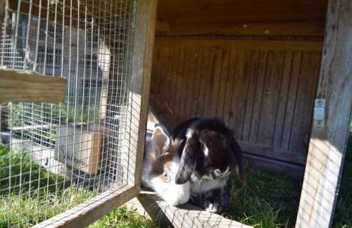 Tötscherhof - Foto 32