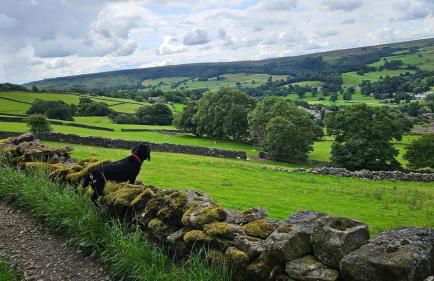 Folly View - Private, peaceful apartment with stunning views. - Foto 61