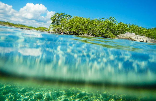 Entdecke eine erstaunliche Welt: Cenote-Erkundung und Dschungelflug. Büffet inklusive - Foto 9