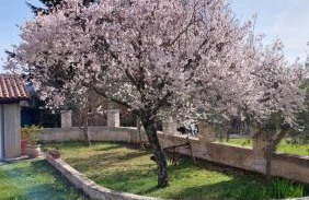 Casa Mandula - Foto 29