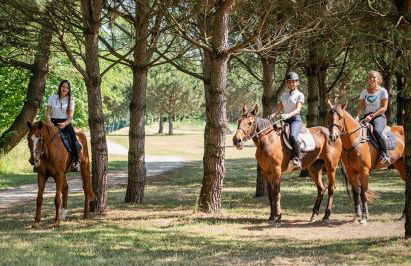 Appartmento S3M - Foto 38