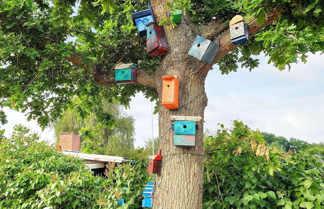 6 Person Holiday Home in Korsor - Photo 23