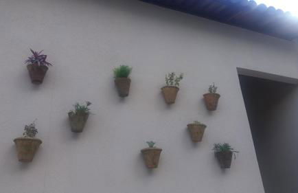 Refúgio na Serra - Photo 33