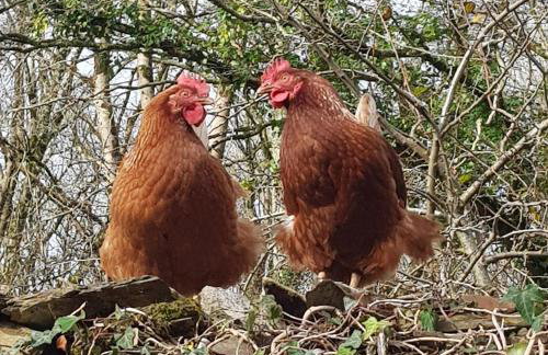 The Count House - Foto 36