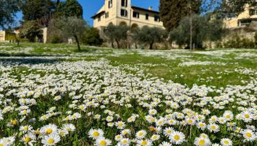 Agriturismo Fattoria Di Maiano - Foto 5