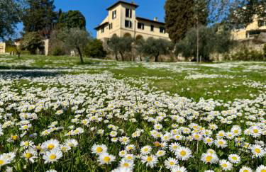 Agriturismo Fattoria Di Maiano - Foto 5