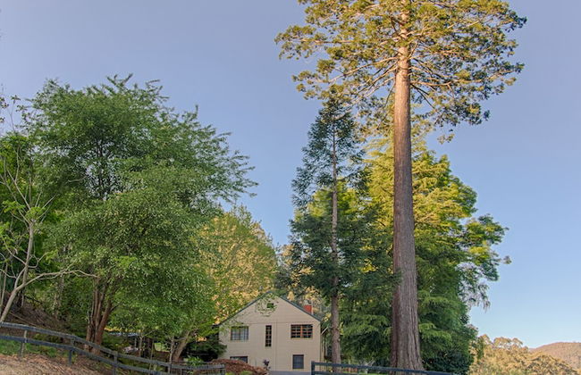 Toorongo Valley Estate - Foto 32