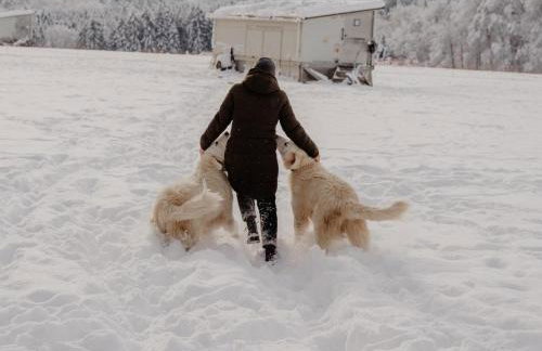 Zimis Hofnest - Foto 3