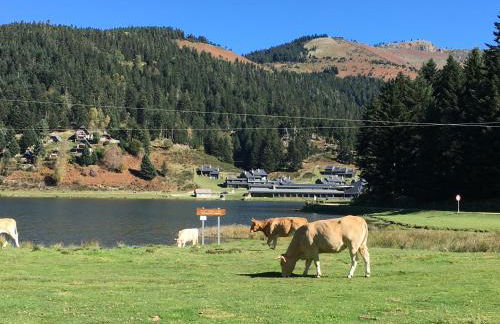 Gite Du Montagnol A Payolle - Foto 22