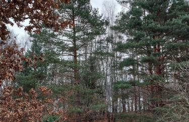 Calm House Krzynia - dom nad jeziorem do wynajęcia - Foto 12