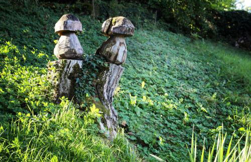 L'Aristoloche - Foto 24