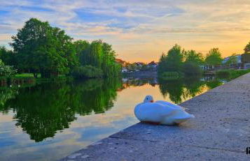 TOP 3-Zimmerwohnung nähe Kurpark - Foto 29