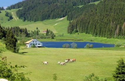 L'Atelier du Peintre - Foto 24