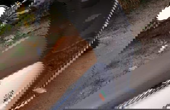 Seacret Studios - Cozy Jamaican Retreat Apts by RedAwning - Photo 22