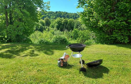 Maison plain pied intérieur bois - Lac de chalain - Gîte les 4 saisons - Foto 1