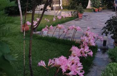 Kardiakafti Village - Foto 55