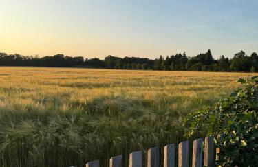 Ferienhaus Wernsdorf - Foto 7