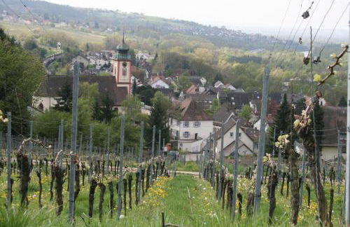 Ferienwohnung Wagner mit 35 qm Fr - Foto 8