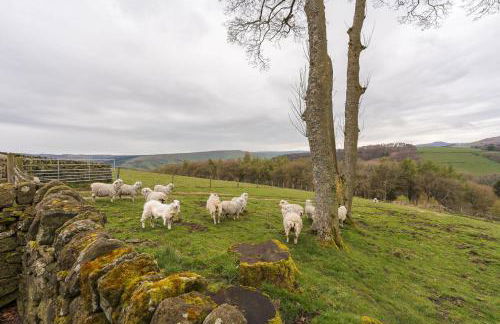 Stanage Barn by Birch Stays - Foto 56