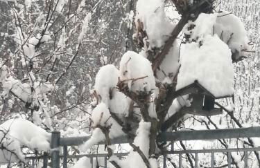 Casa Clima Tandem - Foto 31