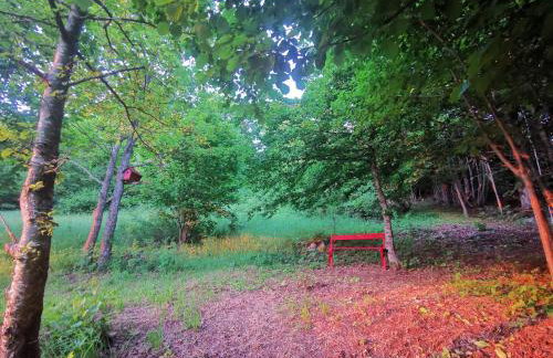 Home La Sierra with WHIRLPOOL BATH for two - Foto 35