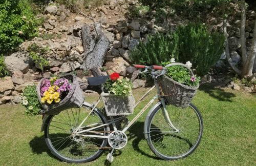 Villa Les palmiers en Provence - Logement cosy 4 pers - Foto 5