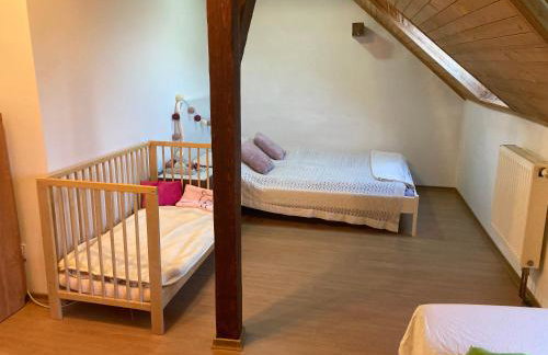 Poddasze Pierwoszyno - Foto 13