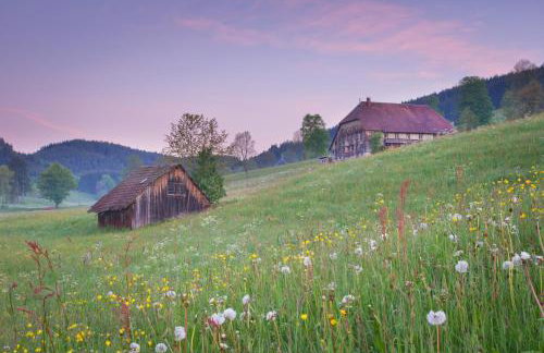 Balkon mit Schwarzwaldblick, Hunde frei, Tischfußball, Parkplatz, familienfreundlich - Foto 28