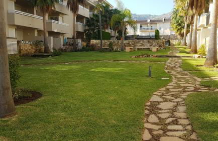 GREEN PARADISE - Foto 22