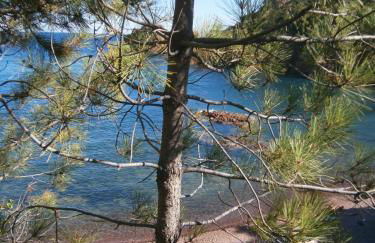 Studio et parking à 300m de la plage de Fréjus - Foto 23