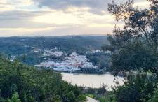 HuesPet&You - Foto 11