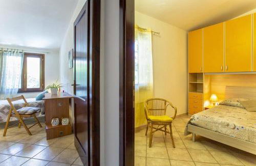 Il ginepro e la lantana - Foto 16