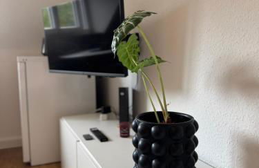 Design Studio Westwing - Foto 6