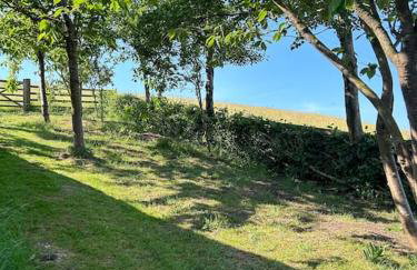 Springhill Studio, Brimham Rocks Yorkshire Dales - Photo 7