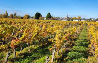 Gite de campagne - Foto 11