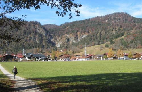 Alpenspatzl - Foto 21