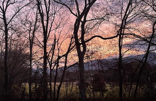 Yellow Cabin on the River cabin - Foto 46