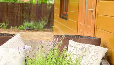 Lawendula domek nad Miedwiem - Foto 3