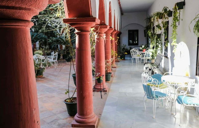 Tour por Montoro + Degustación de vinos y tapas - Foto 4