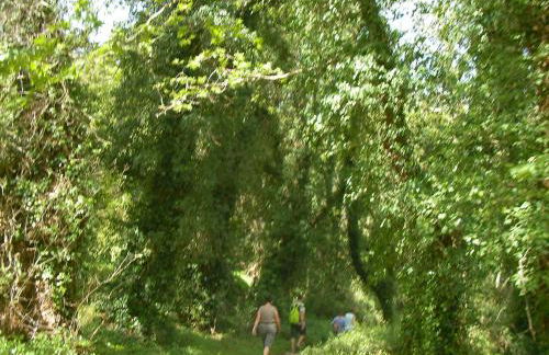 Elia Studios - Photo 54