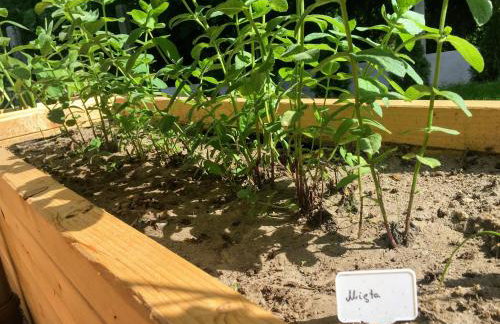 Domek na wsi Mokosz - Photo 25