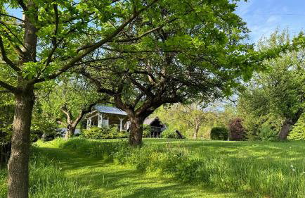 Dom w Starym Sadzie z basenem i sauną - Beskid Wyspowy - Foto 31