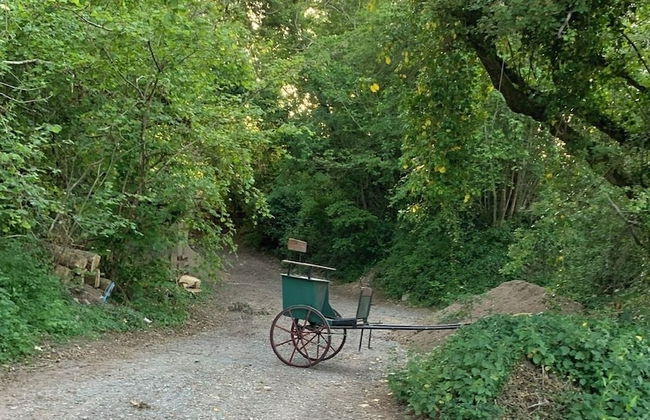 Guyscliffe Farm Holiday Lets - Foto 37