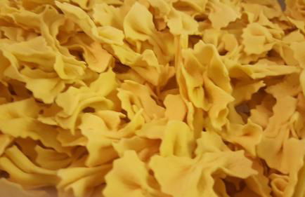 Agriturismo La Ginestrella - Foto 20