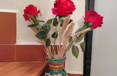 La Casita de Ivanna - Foto 20