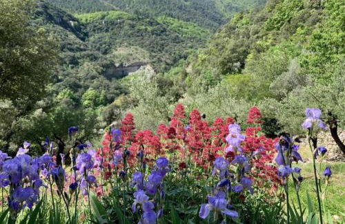 Serene Holiday Home in Les Salelles With Swimming Pool - Foto 21