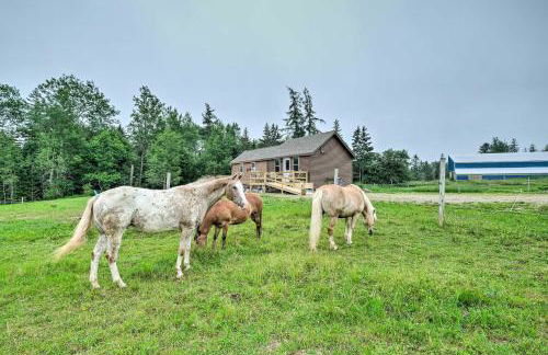 Cherryfield Home with Decks On Historic Horse Farm - Foto 30
