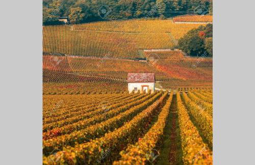 Le Clos des Jardins - Foto 18