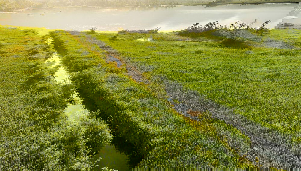 Penthouse With Mountain Views and Sauna - Foto 1, Profilbild